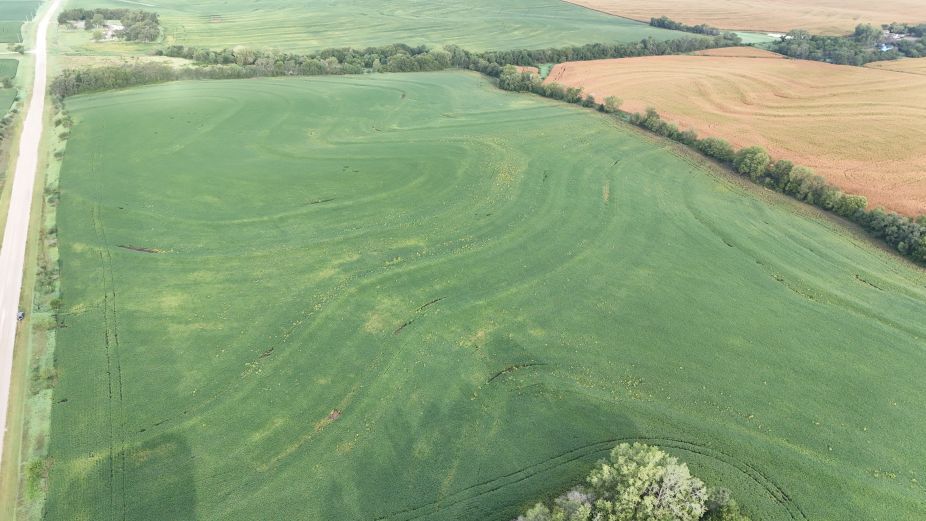Listing Photo: Lancaster-county-ne-70.24+/--acres-cropland
